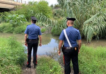 Giarre, un'onda maleodorante di liquami fognari scorre nel torrente Macchia. Pesante impatto ambientale  VD