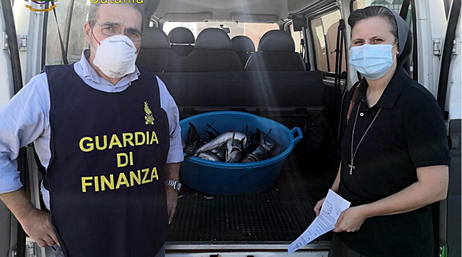 Catania, sequestrati dalla Sezione Operativa navale della Guardia di finanza 18 esemplari di pesce spada novello