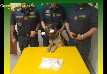 Scoperto appartamento dedicato allo spaccio di droga: sequestrata cocaina e denunciato 21enne