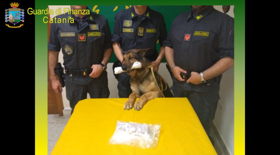 Scoperto appartamento dedicato allo spaccio di droga: sequestrata cocaina e denunciato 21enne