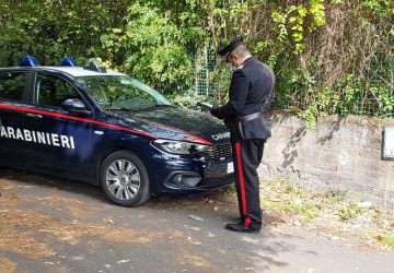 Trecastagni, dal produttore al&hellip; ladro: beccati con le castagne nel sacco