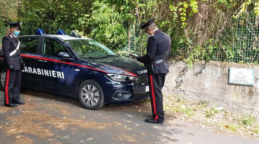 Trecastagni, dal produttore al… ladro: beccati con le castagne nel sacco