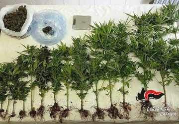 Maniace, nascondeva la droga in cassaforte: denunciato