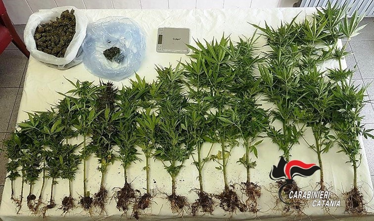 Maniace, nascondeva la droga in cassaforte: denunciato