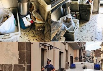 Ramacca, chiuso il panificio degli &ldquo;orrori alimentari&rdquo;: denunciato il titolare