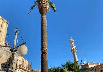 Calatabiano, lavori di potatura in diverse aree del territorio comunale