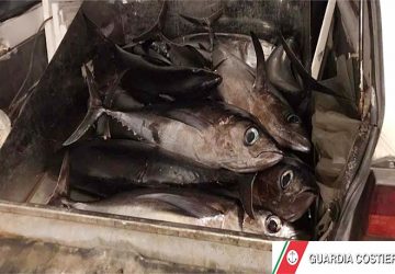 Pesca illegale: Guardia costiera di Riposto sequestra 80 kg di tonno alalunga