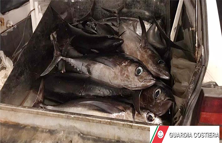 Pesca illegale: Guardia costiera di Riposto sequestra 80 kg di tonno alalunga
