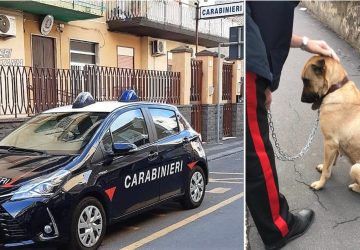 Abbandona il cane per due ore nella sua macchina: denunciato