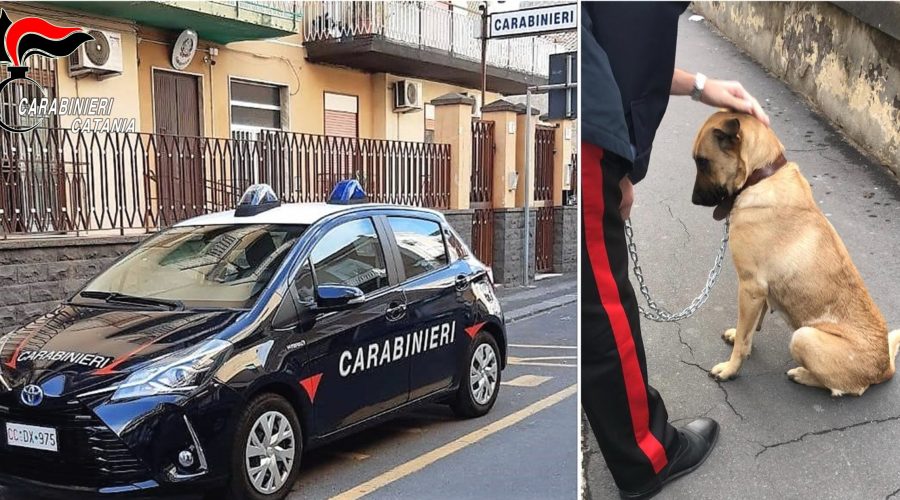 Abbandona il cane per due ore nella sua macchina: denunciato