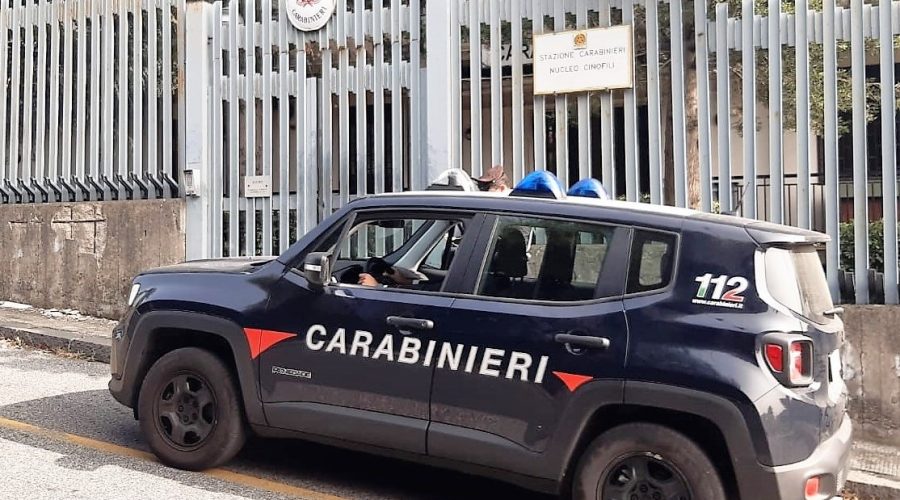 Per proteggere il fratello aggredisce i carabinieri