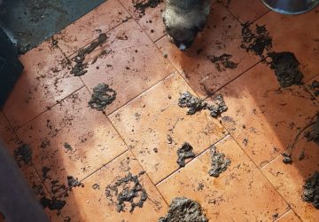 Catania, contrasto all'illegalit&agrave; nell'Oasi del Simeto. Operazione della Polizia