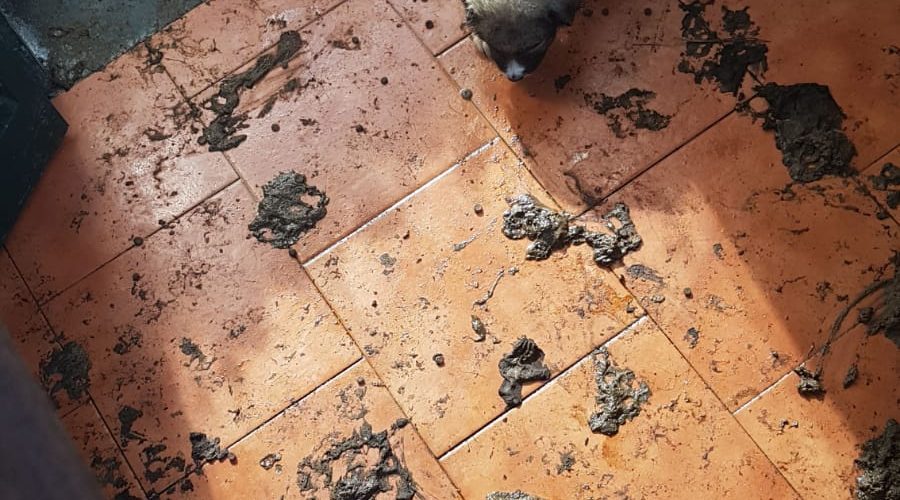 Catania, contrasto all’illegalità nell’Oasi del Simeto. Operazione della Polizia