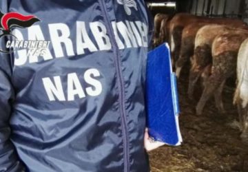 Scoperto un mattatoio abusivo attivato all&rsquo;interno di un&rsquo;azienda zootecnica nel comprensorio di Patern&ograve;.