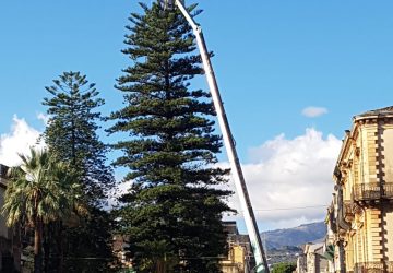 Giarre, questa sera si illumina l'albero "naturale" di Natale di villa Garibaldi