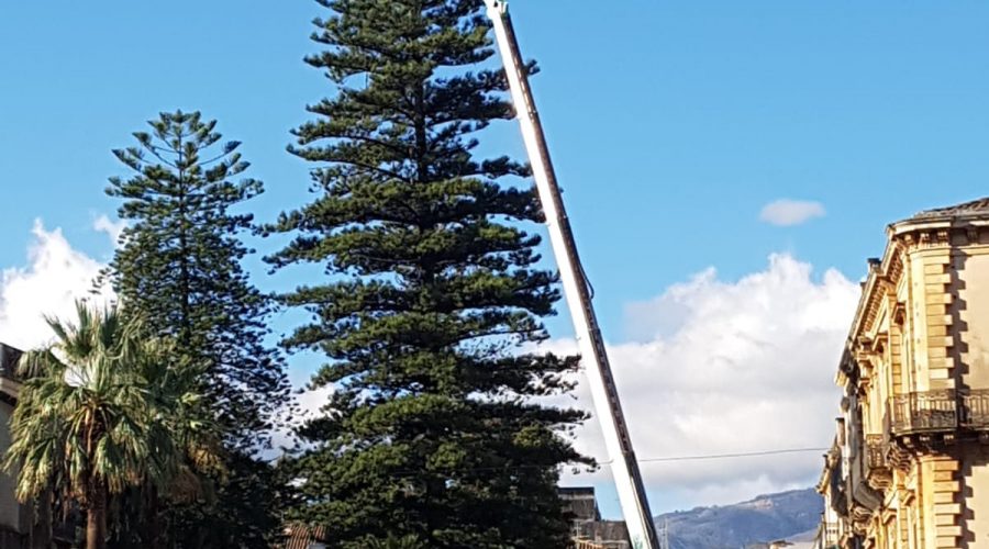 Giarre, questa sera si illumina l’albero “naturale” di Natale di villa Garibaldi