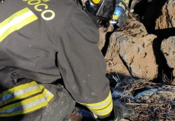Valverde, i Vigili del Fuoco salvano un gattino rimasto incastrato