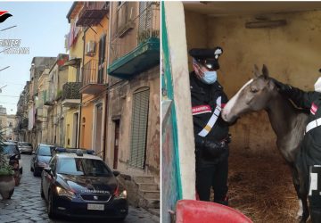 Catania, al setaccio il quartiere popolare di San Cristoforo: un arresto ed una denuncia.
