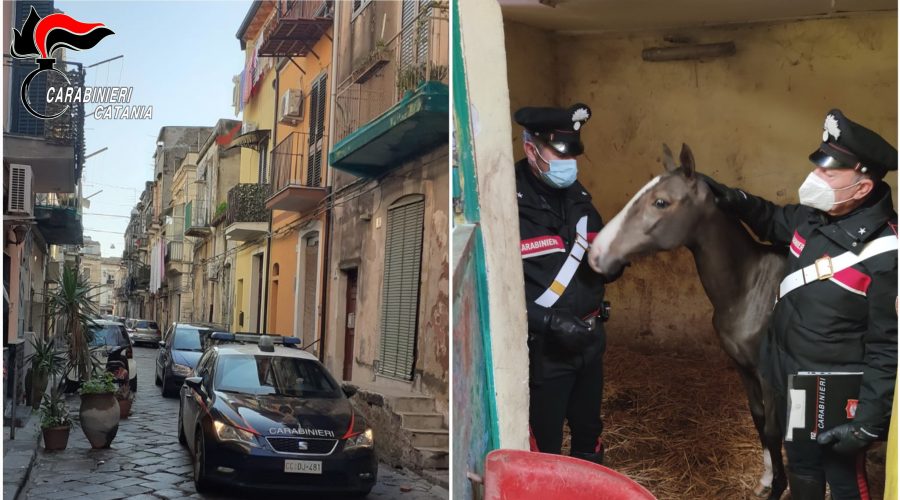 Catania, al setaccio il quartiere popolare di San Cristoforo: un arresto ed una denuncia.
