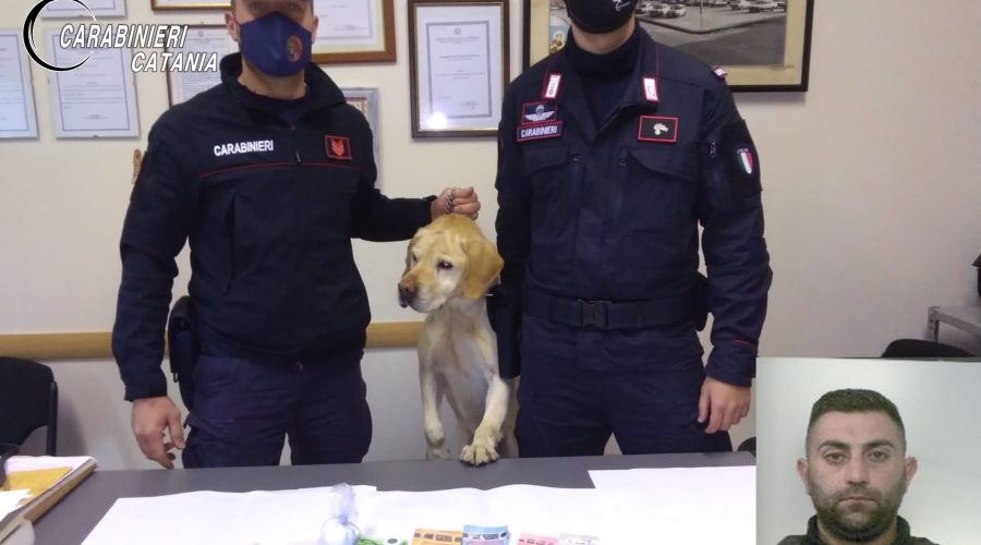 Mascali, a casa con marijuana e cocaina. 33enne in manette