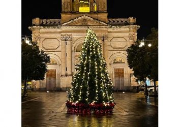Giarre, grazie a tre imprenditori anche piazza Carmine ha il suo albero di Natale