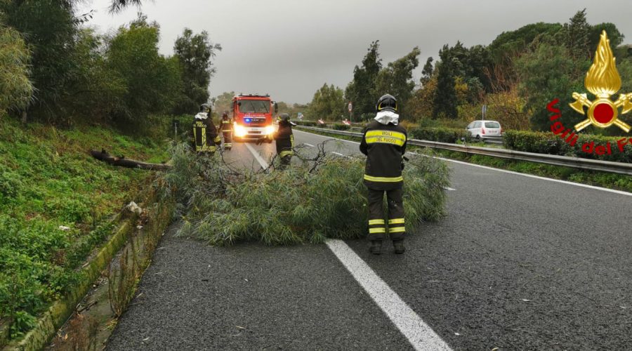 Maltempo, rimozione di un albero caduto sulla A18