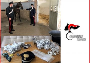 Carabinieri setacciano Librino: rinvenuta droga, cani e cavalli maltrattati: 4 i denunciati