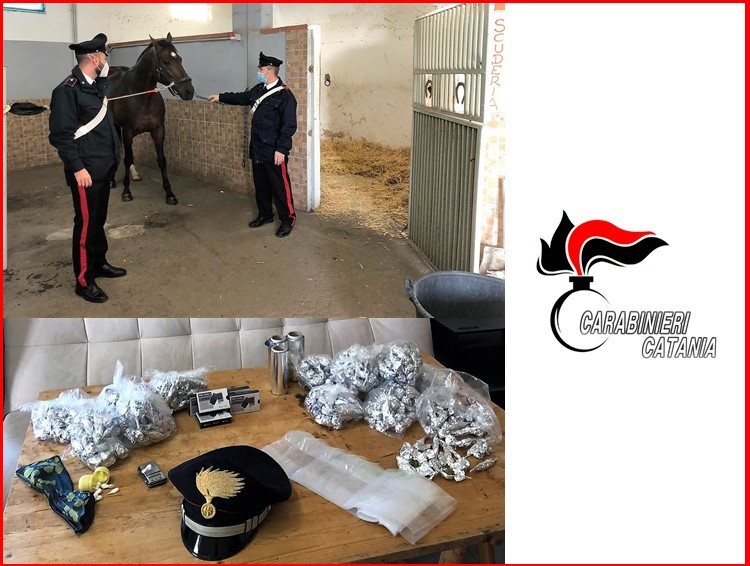 Carabinieri setacciano Librino: rinvenuta droga, cani e cavalli maltrattati: 4 i denunciati