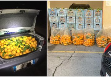 Rubano arance e alla vista dei carabinieri scappano via: denunciato 39enne di Graniti