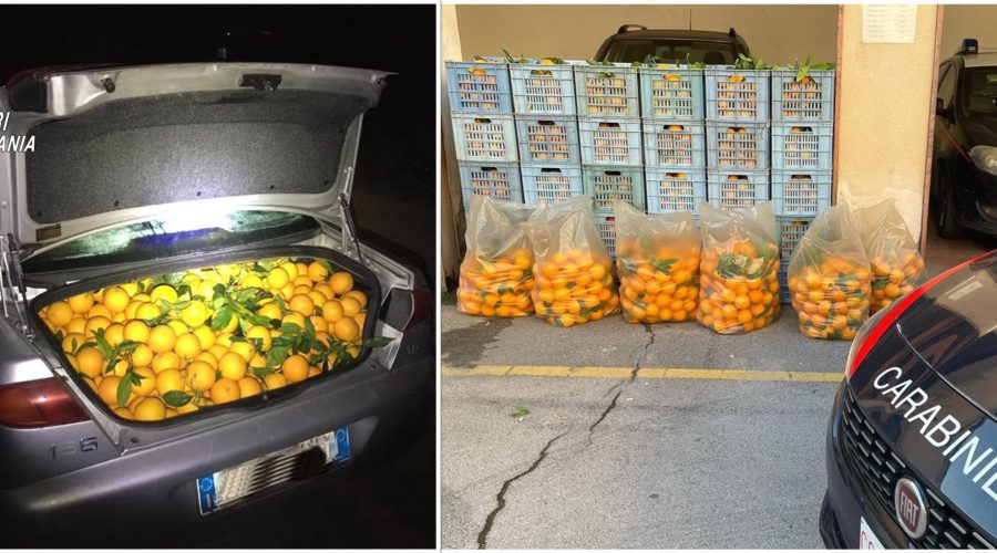 Rubano arance e alla vista dei carabinieri scappano via: denunciato 39enne di Graniti