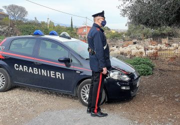 Acireale, sequestrato allevamento con annesso caseificio entrambi totalmente abusivi