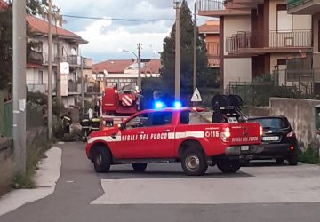 Riposto, albero abbattuto dal vento in via Carbonaro. Intervento dei Vvff