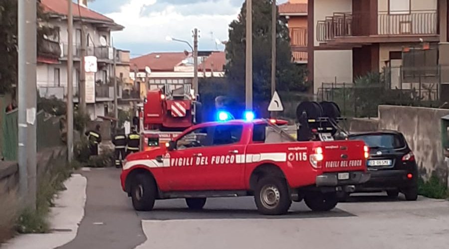 Riposto, albero abbattuto dal vento in via Carbonaro. Intervento dei Vvff