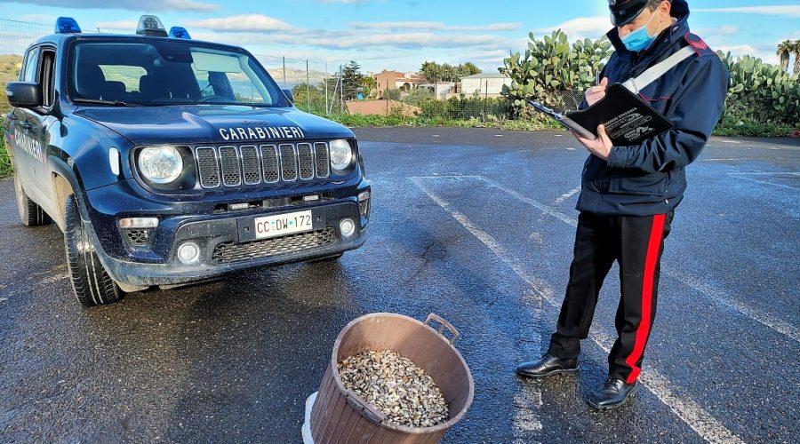Palagonia, sequestrati 30 Kg di prodotti ittici non tracciati: denunciato ambulante abusivo
