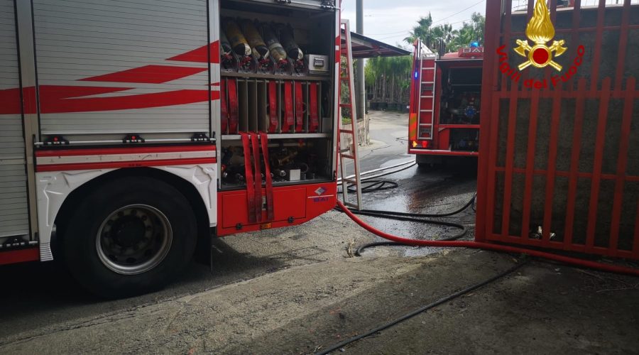 Aci Castello, divampa incendio in un terreno: muore un rottweiler rimasto legato alla catena