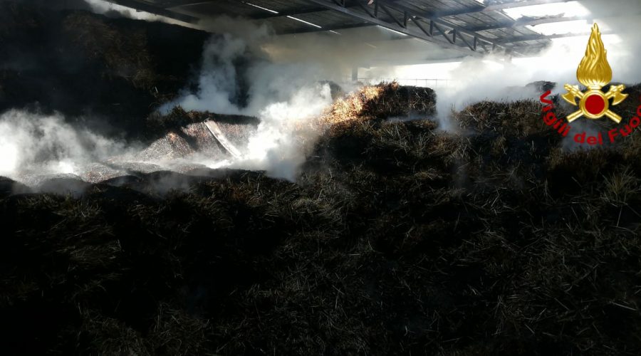 Belpasso, divampa incendio in un capannone
