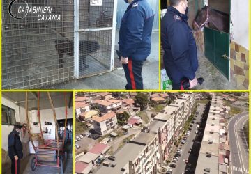 Catania, denunce, sequestri e sanzioni nel quartiere Galermo - Trappeto Nord
