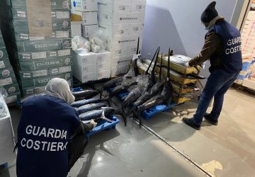 Prosegue il monitoraggio della Guardia Costiera alla Riserva Naturale "Oasi del Simeto".