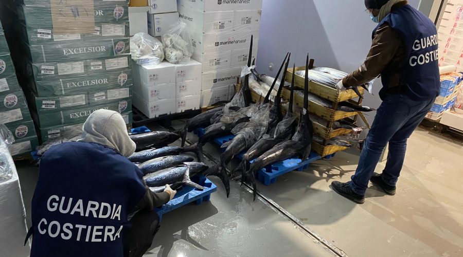 Prosegue il monitoraggio della Guardia Costiera alla Riserva Naturale “Oasi del Simeto”.
