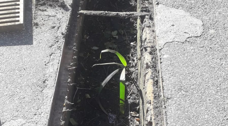 Giarre, al via nuovo ciclo pulizia caditoie. Mezzi e uomini della Igm in azione