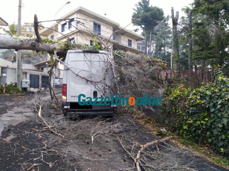 Zafferana, il forte vento spezza un albero che precipita su un furgone