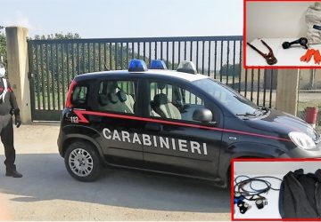 Mineo, erano pronti a razziare un agrumeto: denunciati due catanesi in trasferta