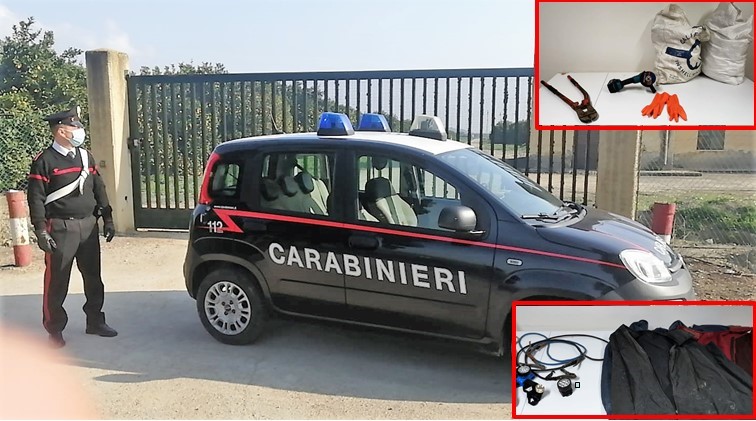 Mineo, erano pronti a razziare un agrumeto: denunciati due catanesi in trasferta