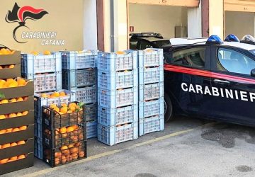 Abbandonano l&rsquo;auto in corsa per guadagnarsi la fuga: avevano rubato 1.000 kg di arance. Denunciato zafferanese