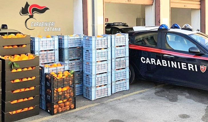 Abbandonano l’auto in corsa per guadagnarsi la fuga: avevano rubato 1.000 kg di arance. Denunciato zafferanese