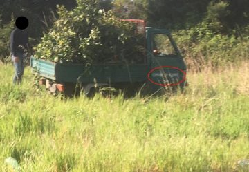 Giarre, lo stadio di atletica nel degrado: mezzi del Comune "autorizzati"a trasformarlo in discarica