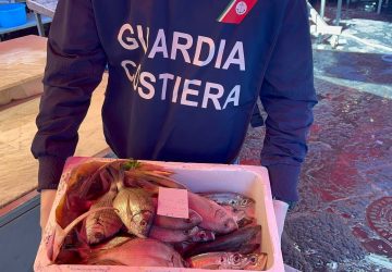 Catania, controlli al mercato della Pescheria: pioggia di sanzioni