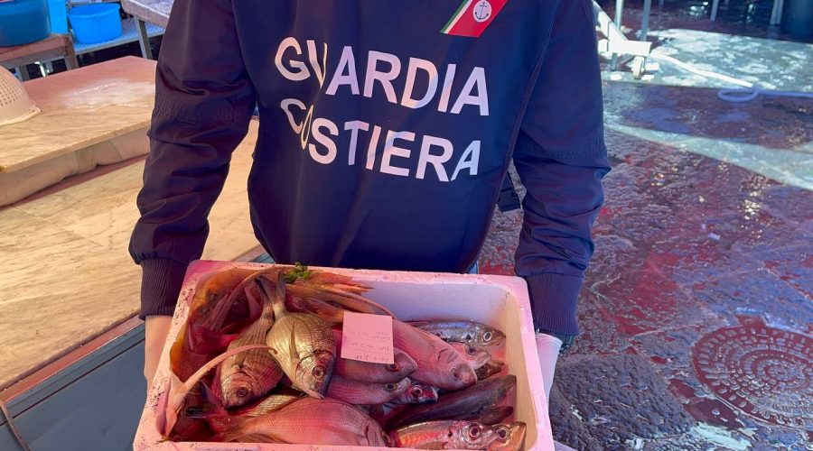 Catania, controlli al mercato della Pescheria: pioggia di sanzioni
