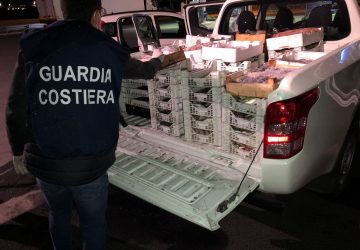 Controlli alla filiera pesca mercati ittici di Acitrezza e Acireale