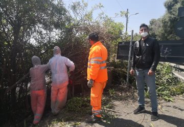 Via Provinciale per Riposto, al via scerbatura e ripristino dei muri